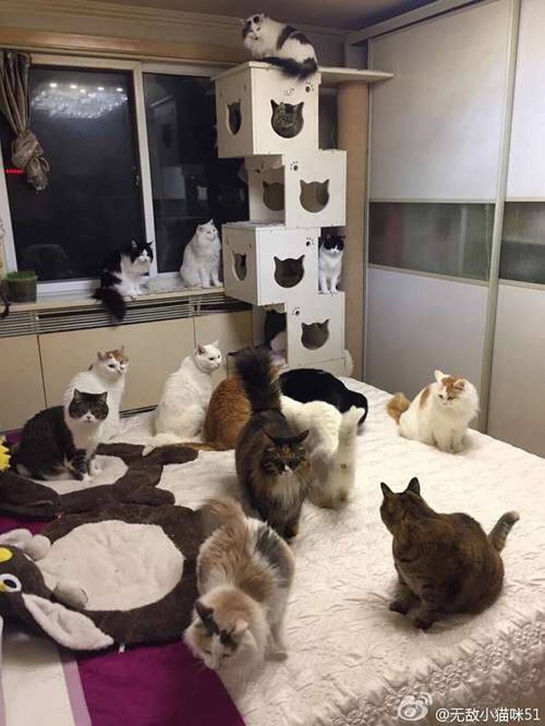 Gewoon een verzameling hilarische foto's #748
