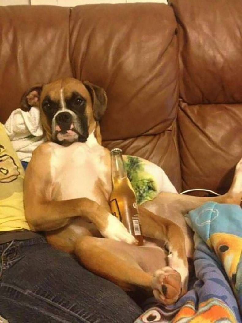 Gewoon een verzameling hilarische foto's #819