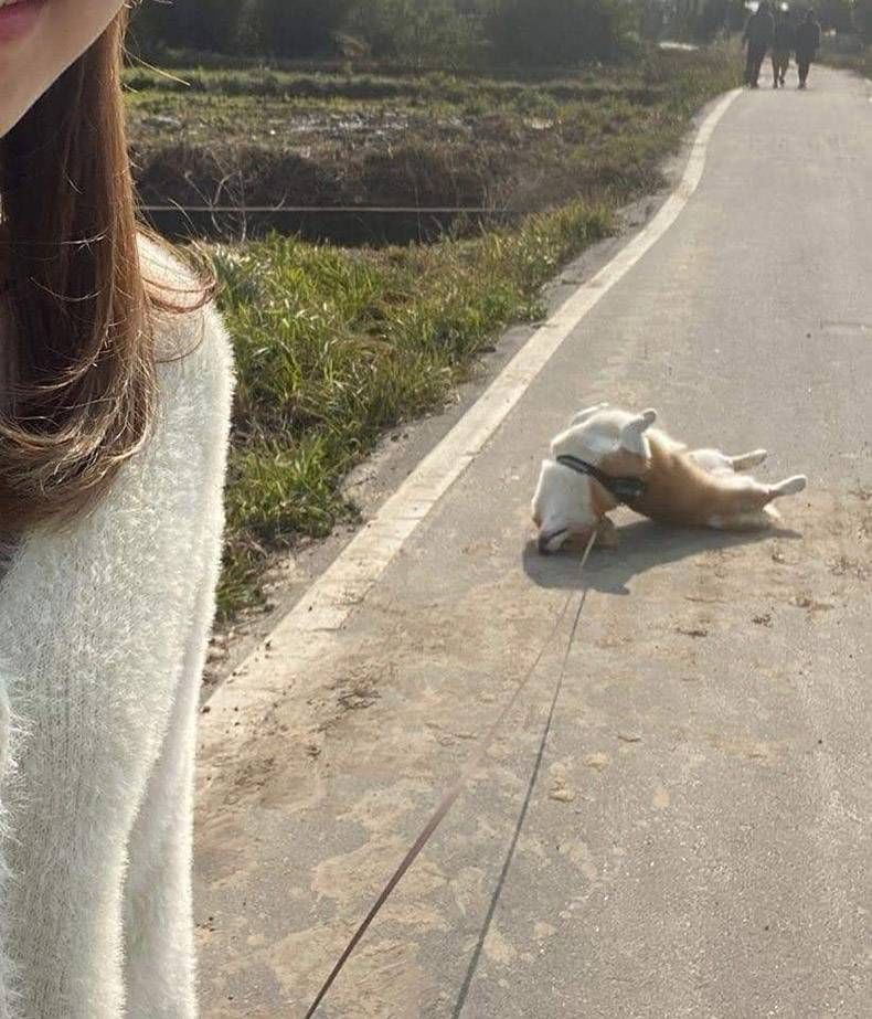 Gewoon een verzameling hilarische foto's #1304