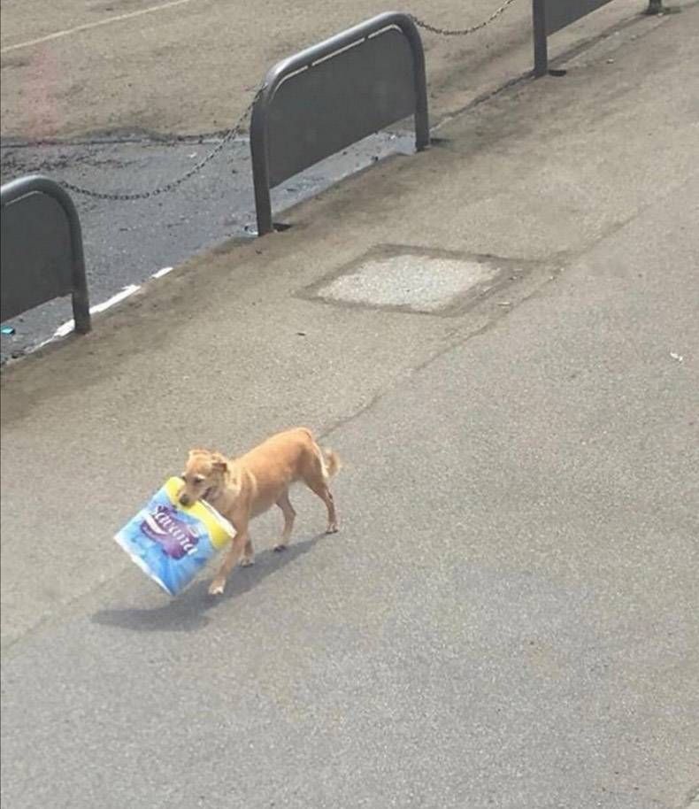 Gewoon een verzameling hilarische foto's #1293