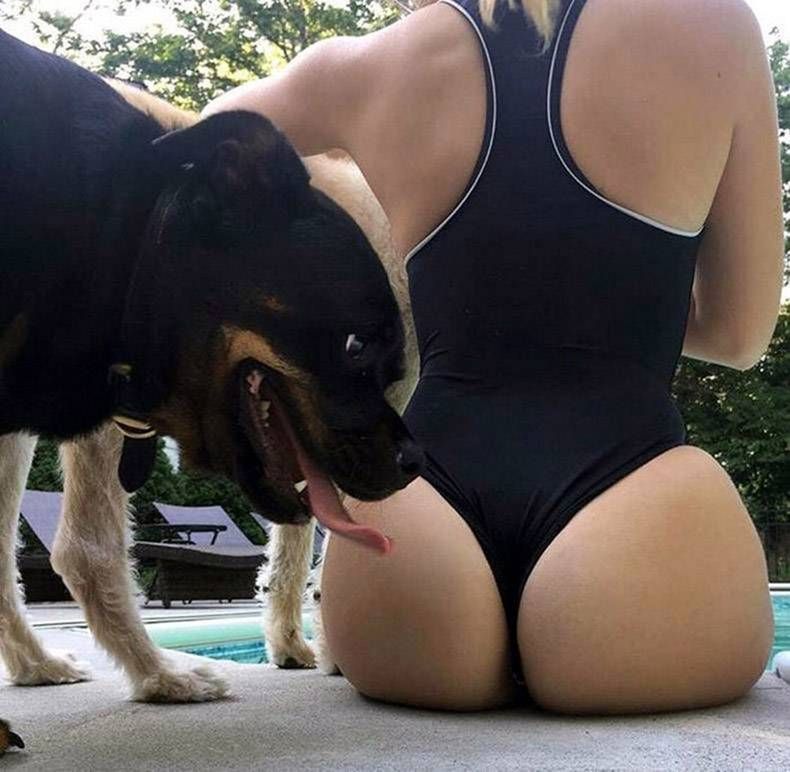 Gewoon een verzameling hilarische foto's #1008
