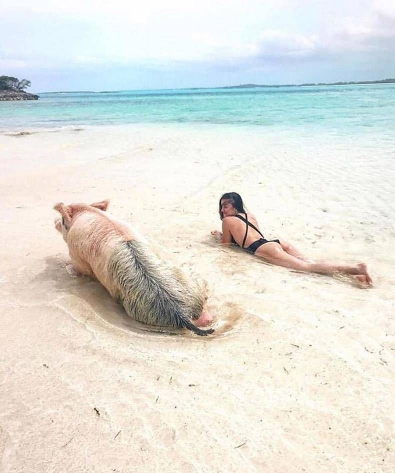 Gewoon een verzameling hilarische foto's #990