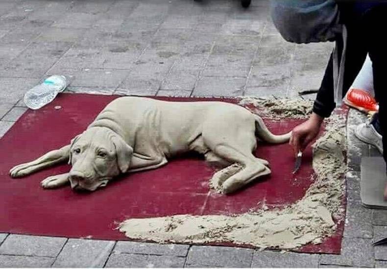 Gewoon een verzameling hilarische foto’s #923