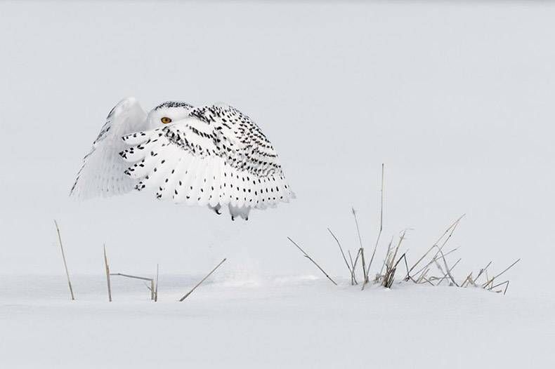 Gewoon een verzameling hilarische foto’s #921