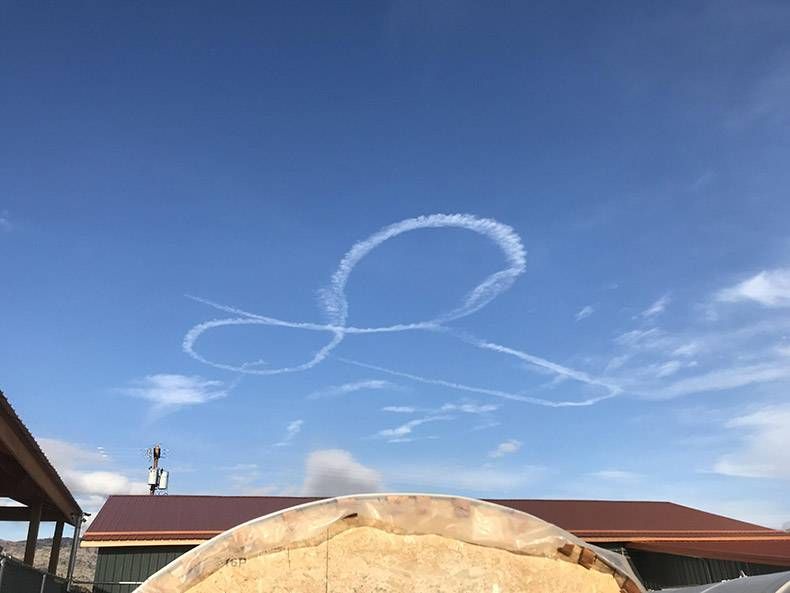 Gewoon een verzameling hilarische foto's #894