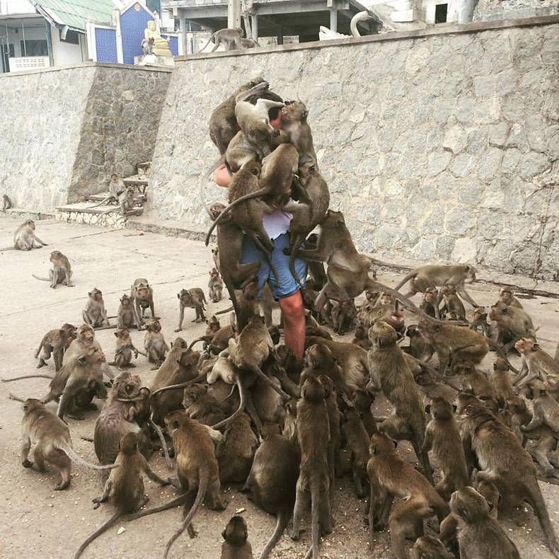 Gewoon een verzameling hilarische foto's #869