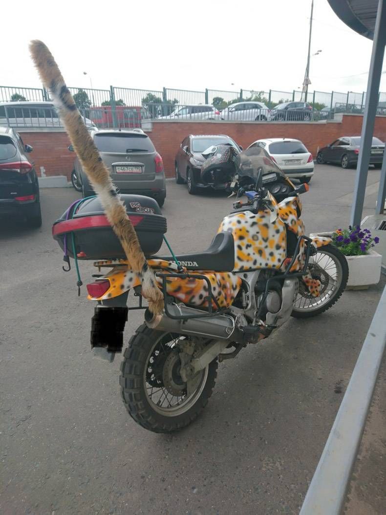 Gewoon een verzameling hilarische foto's #860