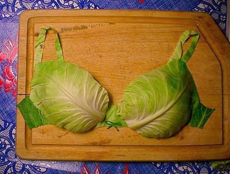 Gewoon een verzameling hilarische foto's #830