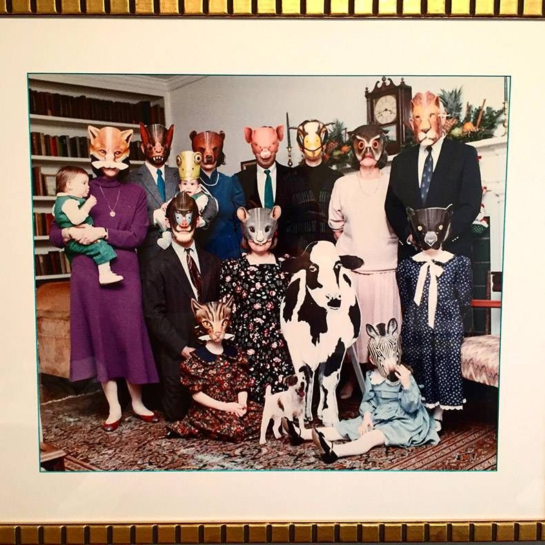 Gewoon een verzameling hilarische foto's #816