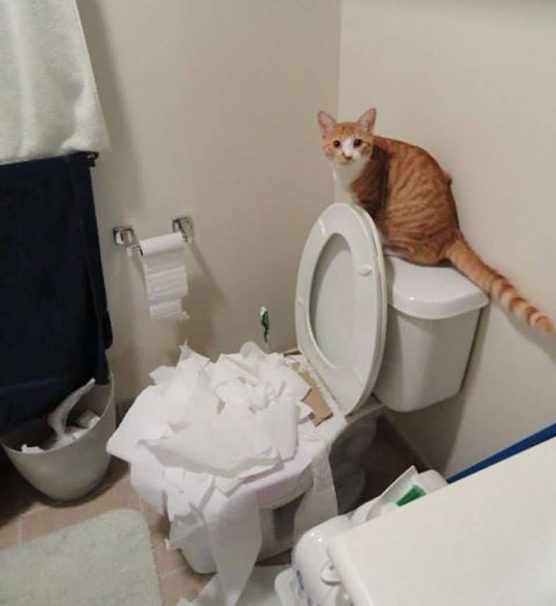 Gewoon een verzameling hilarische foto's #805
