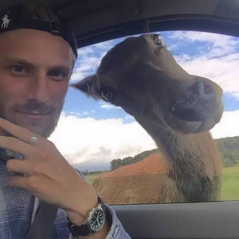 Gewoon een verzameling hilarische foto's #1305