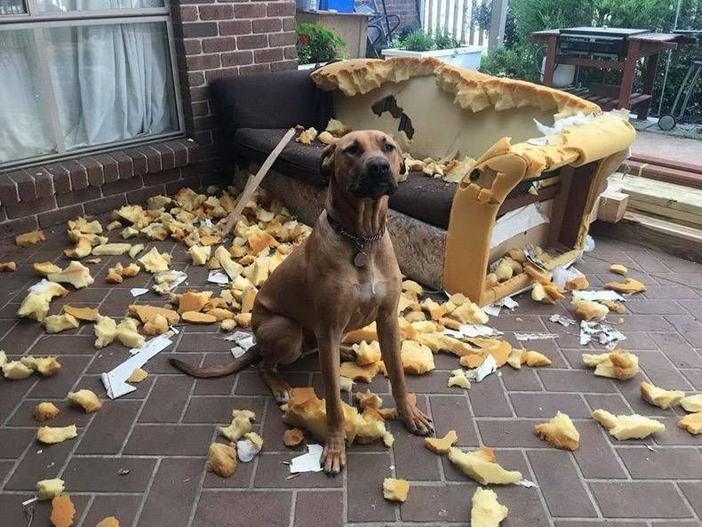 Gewoon een verzameling hilarische foto's #1293