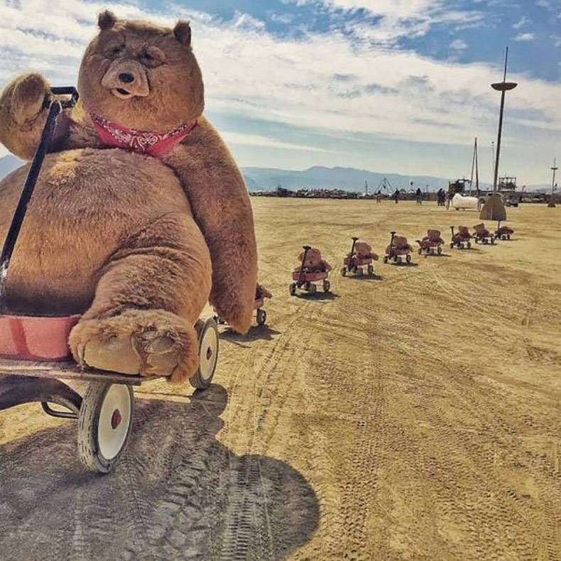 Gewoon een verzameling hilarische foto's #1092