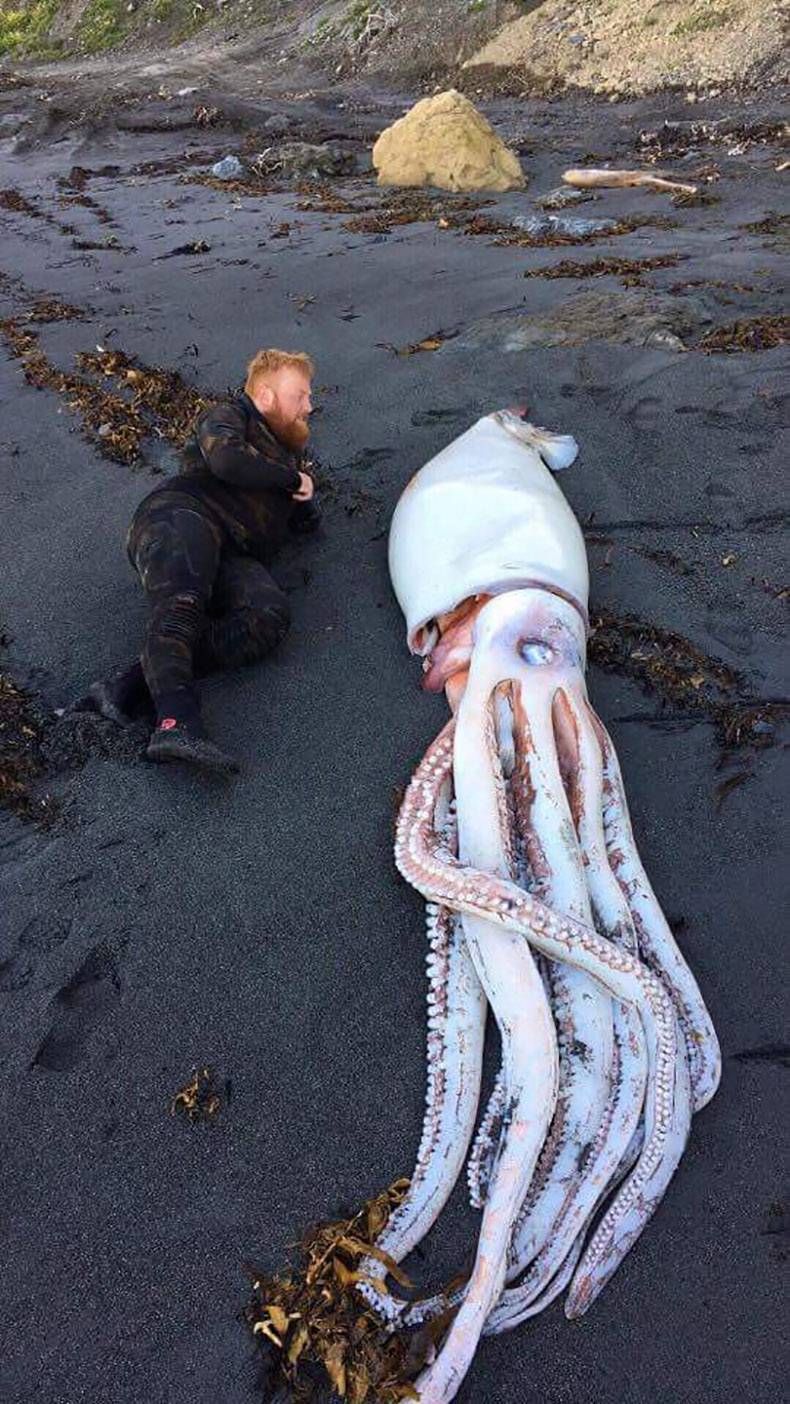 Gewoon een verzameling hilarische foto's #1018