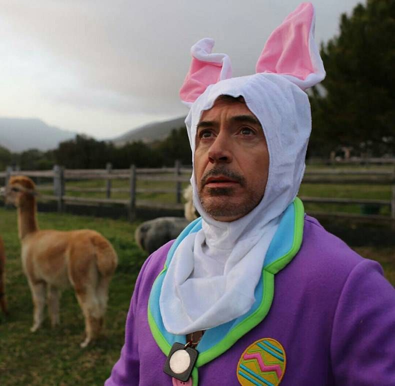 Gewoon een verzameling hilarische foto's #765