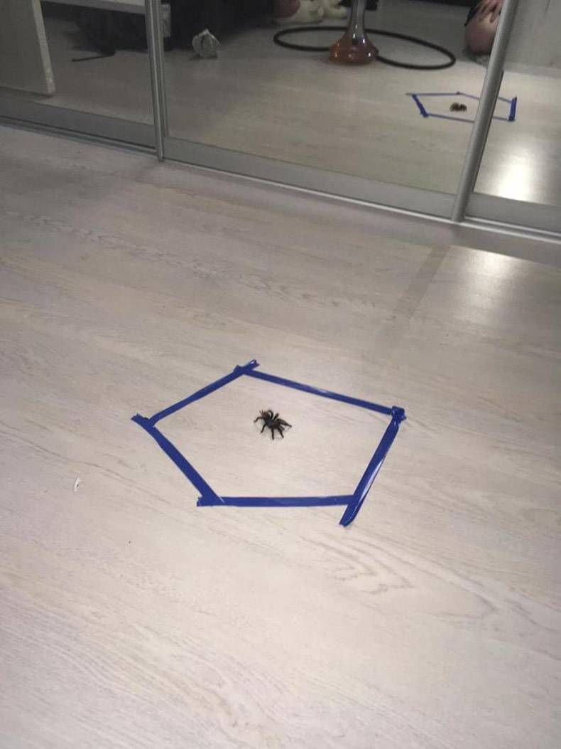 Gewoon een verzameling hilarische foto's #1118