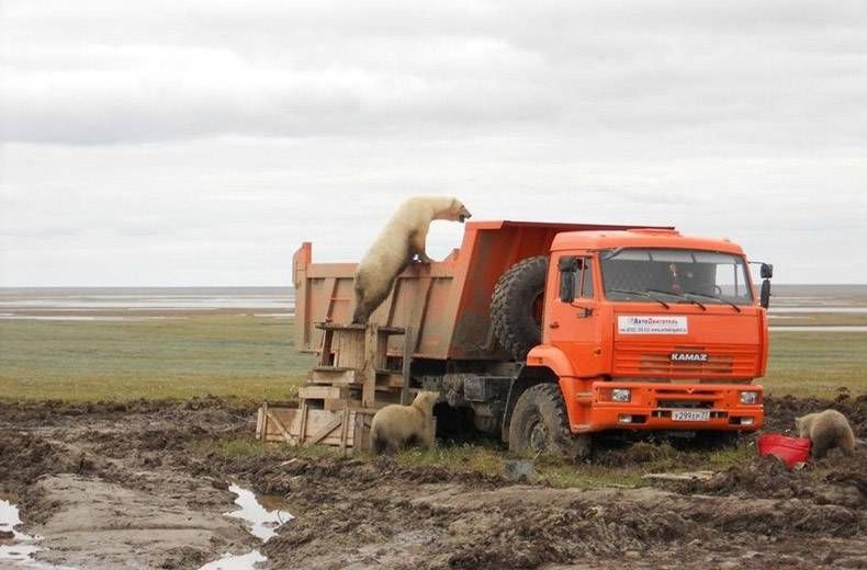 Gewoon een verzameling hilarische foto's #1104