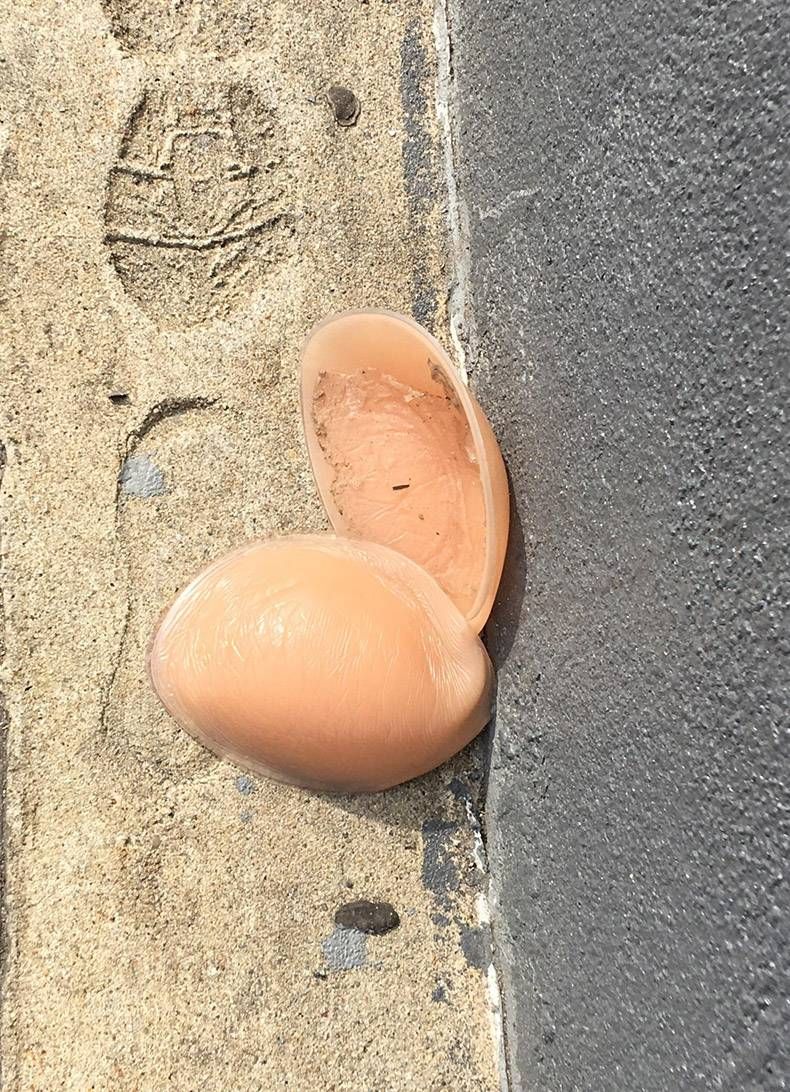 Gewoon een verzameling hilarische foto's #977