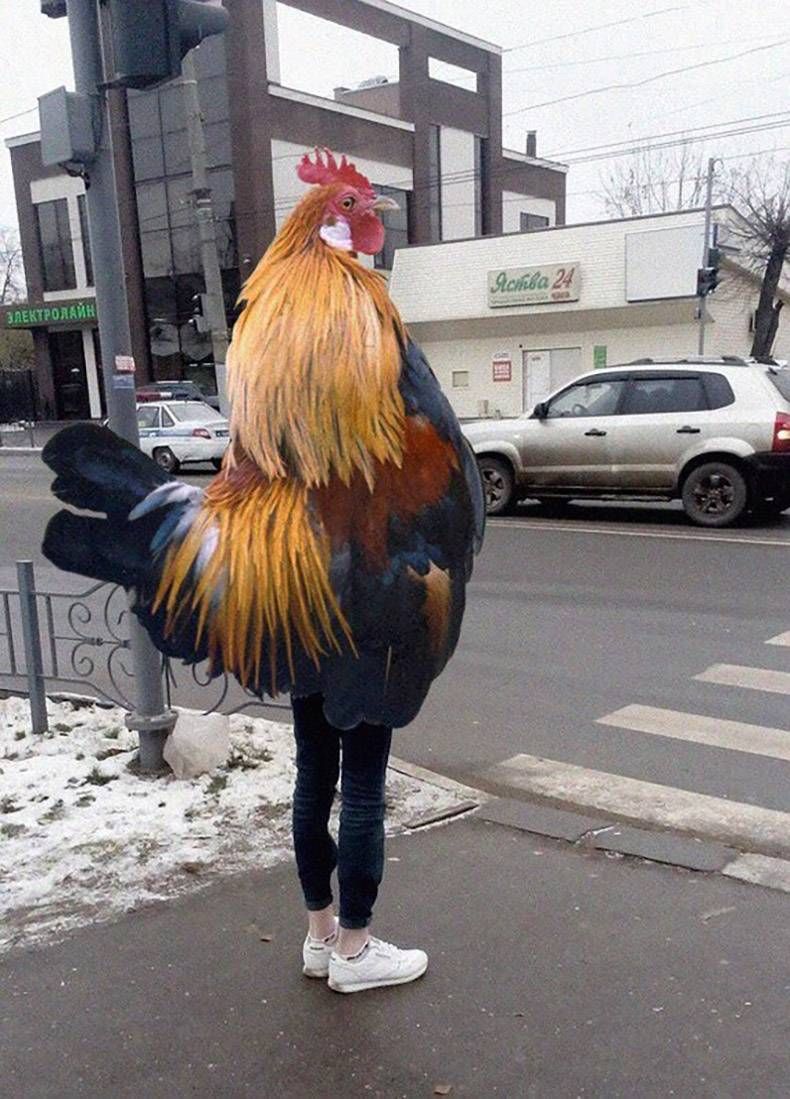 Gewoon een verzameling hilarische foto's #760
