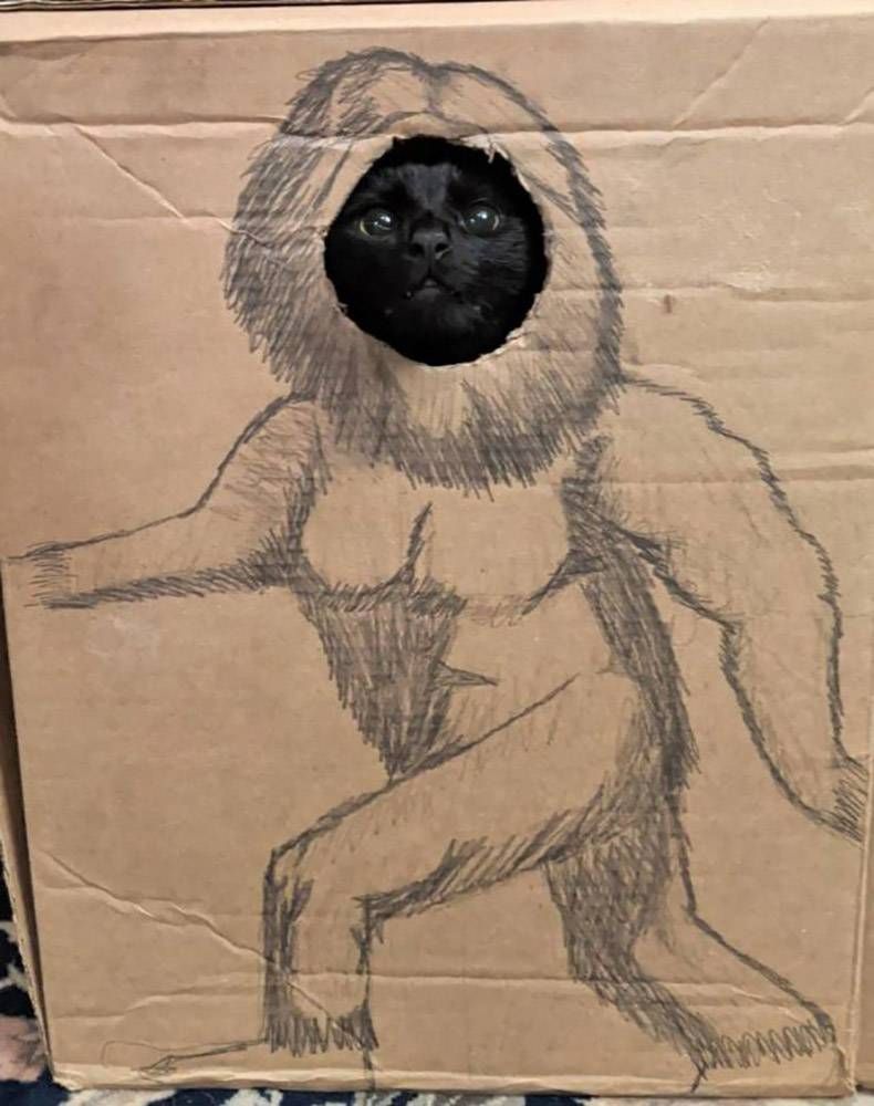 Gewoon een verzameling hilarische foto's #1366