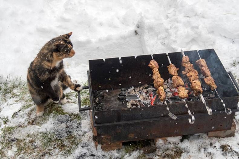 Gewoon een verzameling hilarische foto's #734