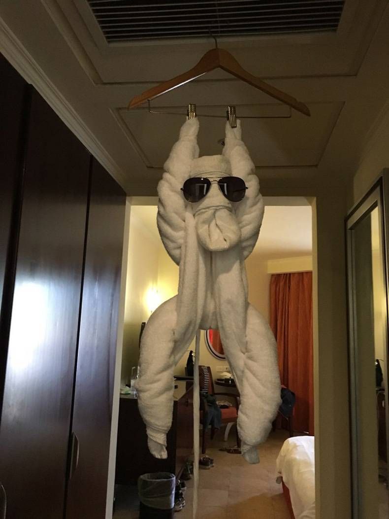 Gewoon een verzameling hilarische foto's #707