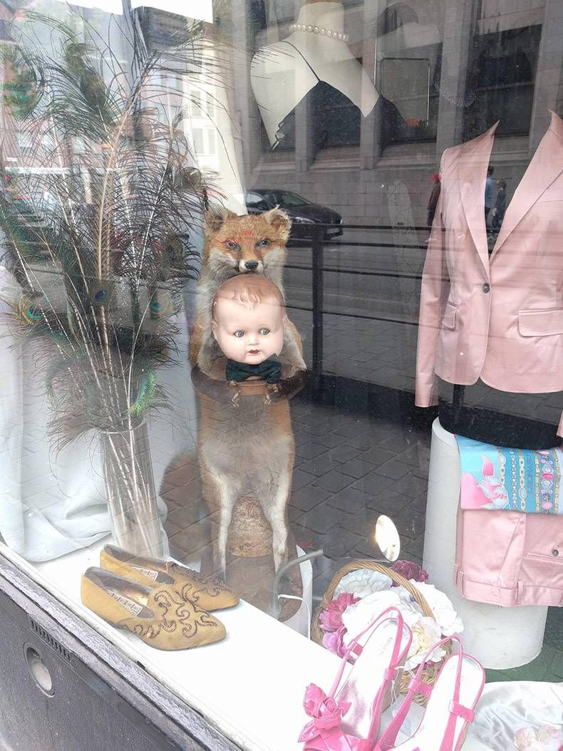 Gewoon een verzameling hilarische foto's #818