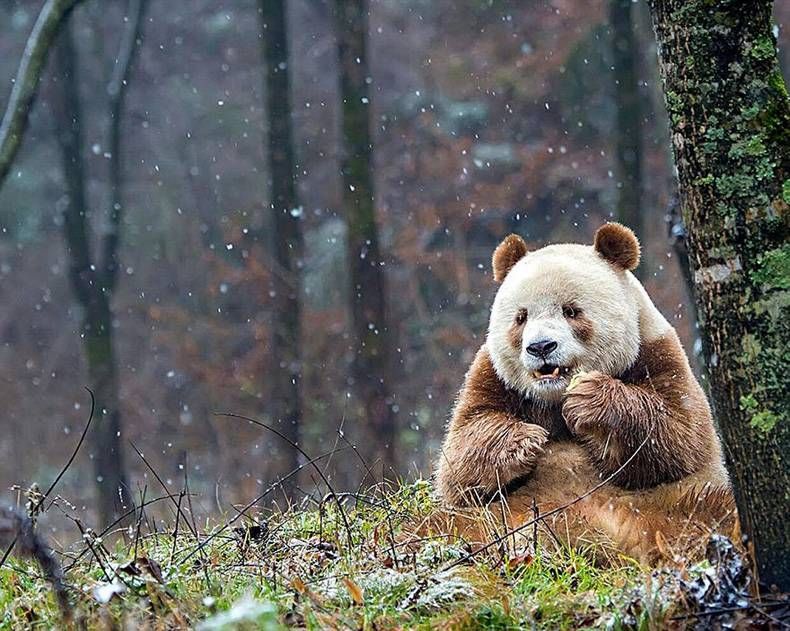 Gewoon een verzameling hilarische foto's #730