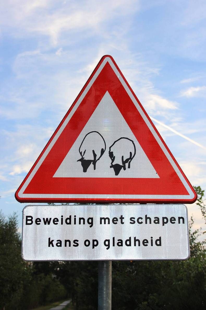 Gewoon een verzameling hilarische foto's #709