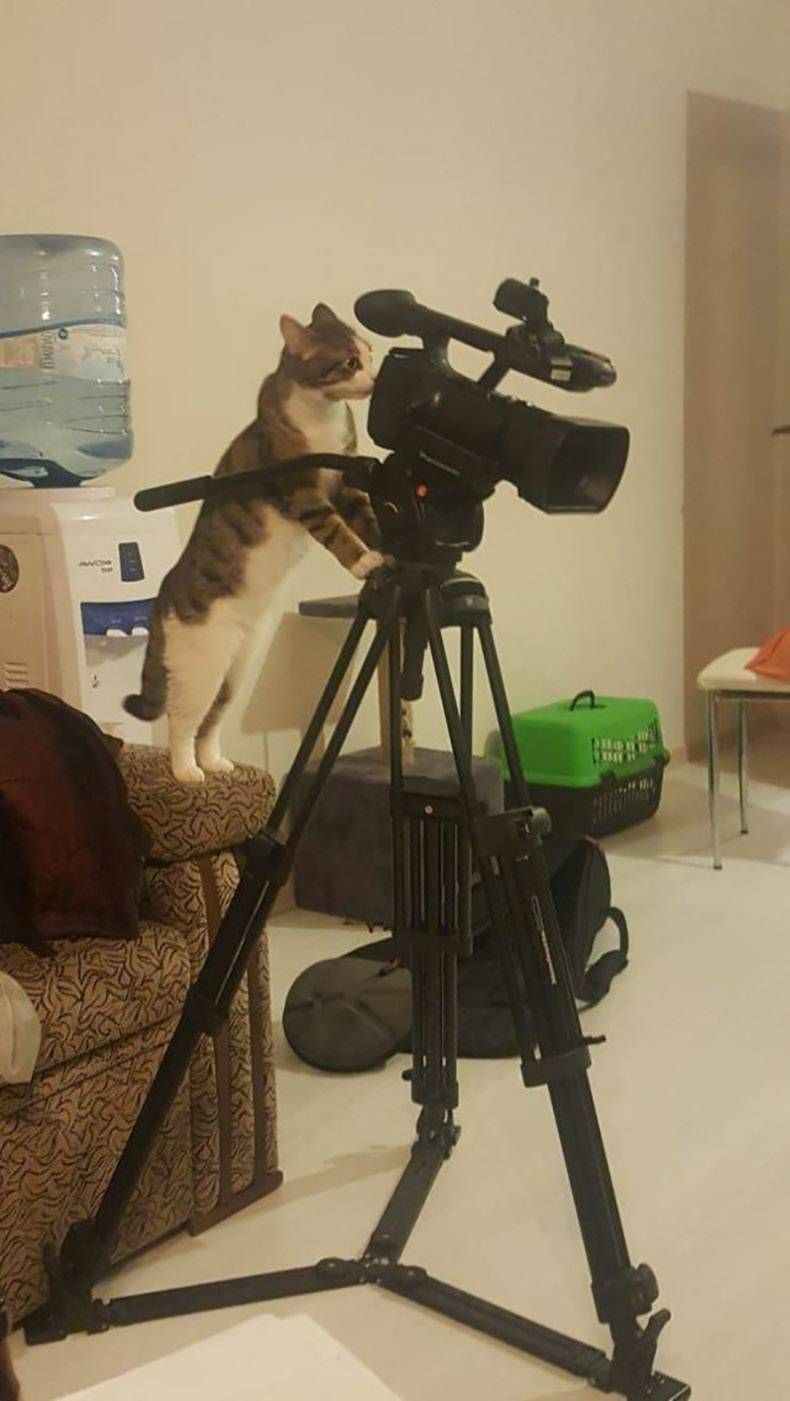 Gewoon een verzameling hilarische foto's #1231