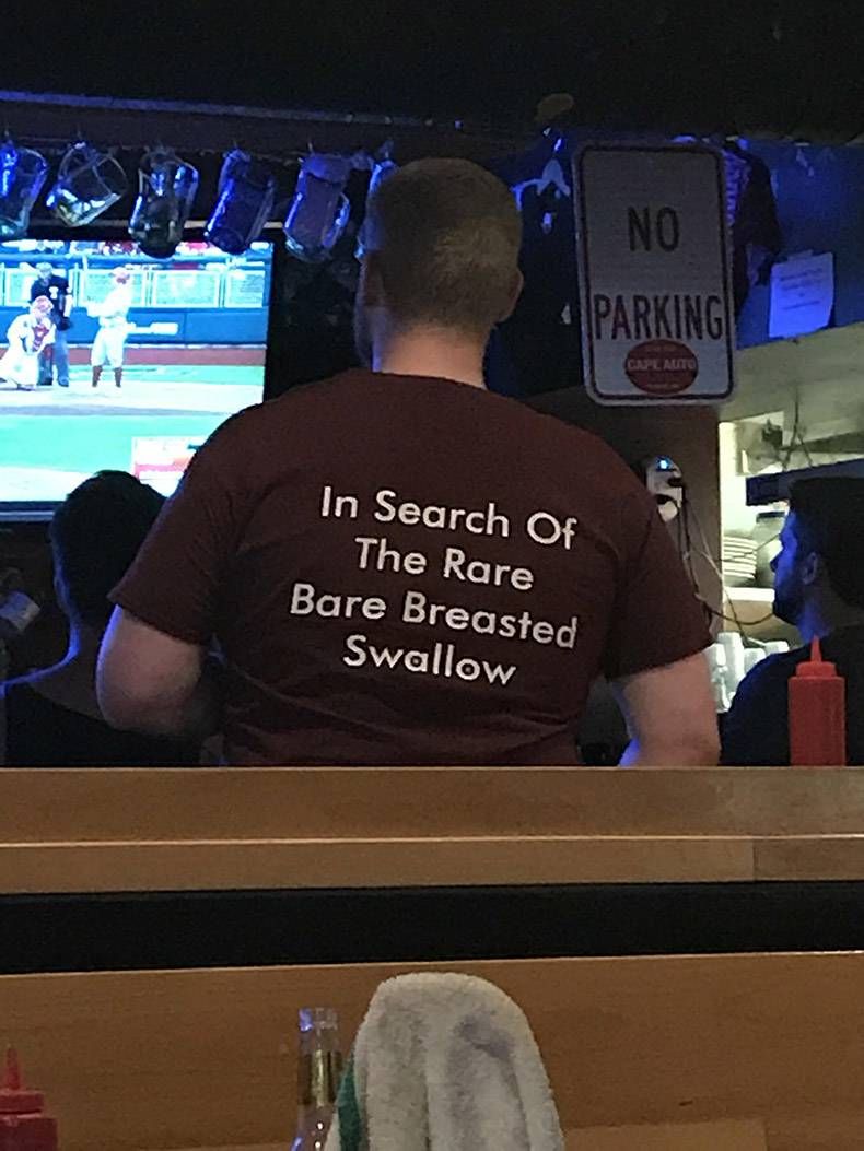 Gewoon een verzameling hilarische foto's #985