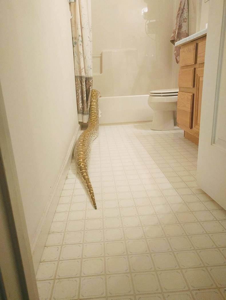 Gewoon een verzameling hilarische foto's #772