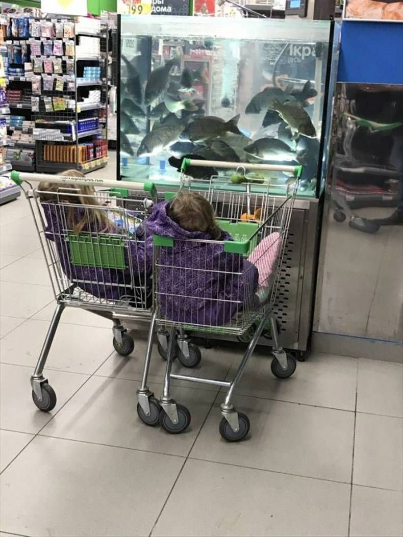 Gewoon een verzameling hilarische foto's #1360