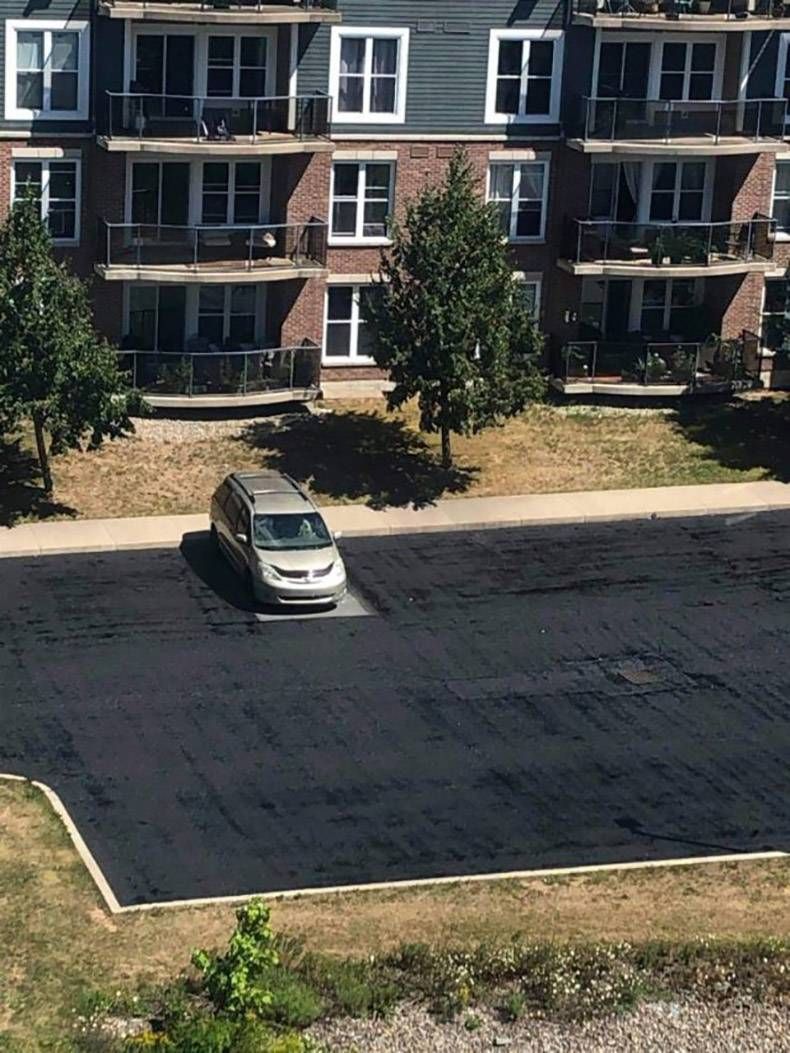 Gewoon een verzameling hilarische foto's #1327
