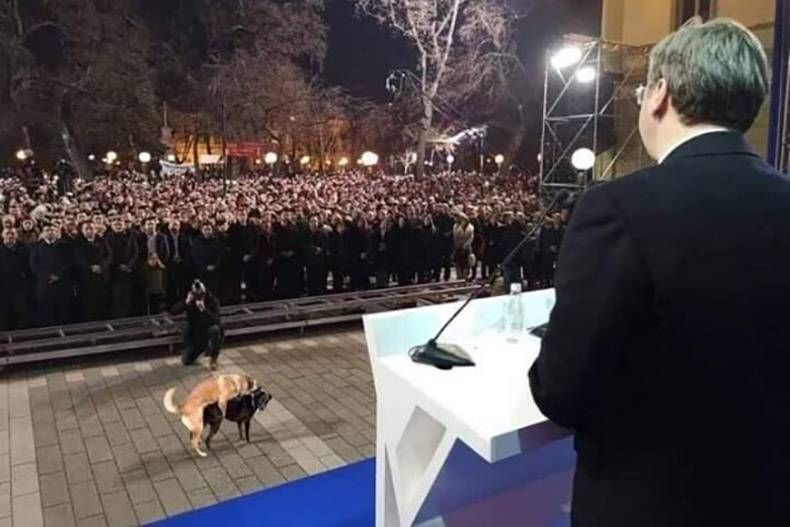 Gewoon een verzameling hilarische foto's #1094