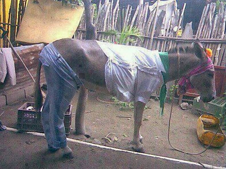 Pix Dump #1000 Special: Gewoon een verzameling OMFG foto’s
