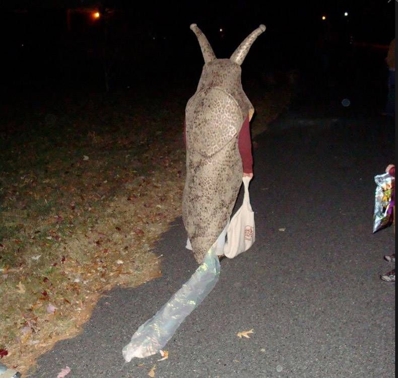 Gewoon een verzameling hilarische foto’s #887
