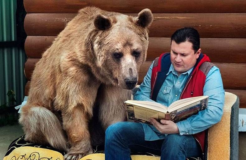 Gewoon een verzameling hilarische foto's #869