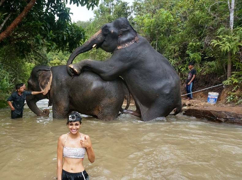 Gewoon een verzameling hilarische foto's #722