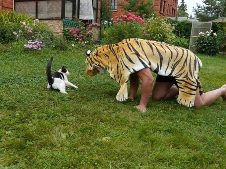Gewoon een verzameling hilarische foto's #1090