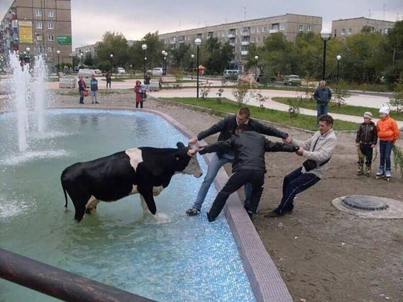 Gewoon een verzameling hilarische foto's #805