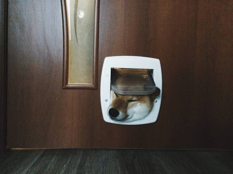 Gewoon een verzameling hilarische foto's #748