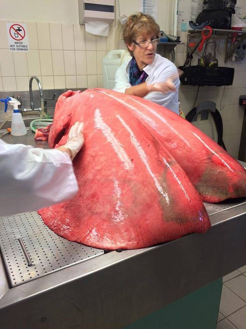 Gewoon een verzameling hilarische foto's #735