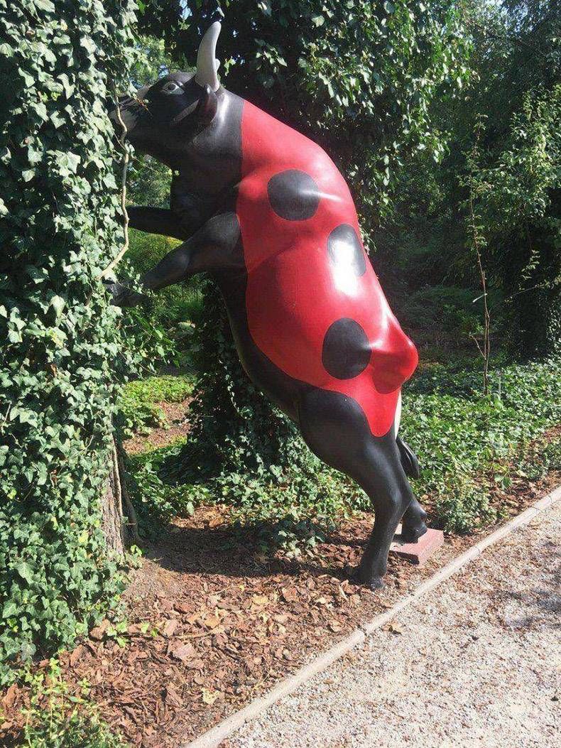 Gewoon een verzameling hilarische foto's #1029