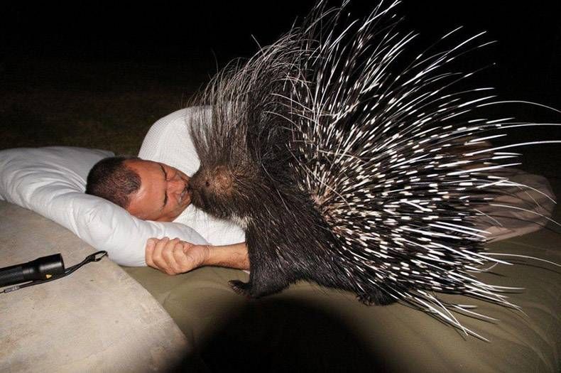 Gewoon een verzameling hilarische foto's #999
