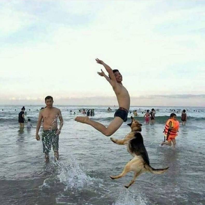 Gewoon een verzameling hilarische foto's #892
