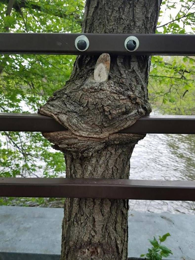 Gewoon een verzameling hilarische foto's #827
