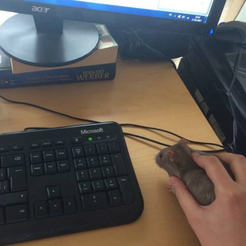 Gewoon een verzameling hilarische foto’s #780