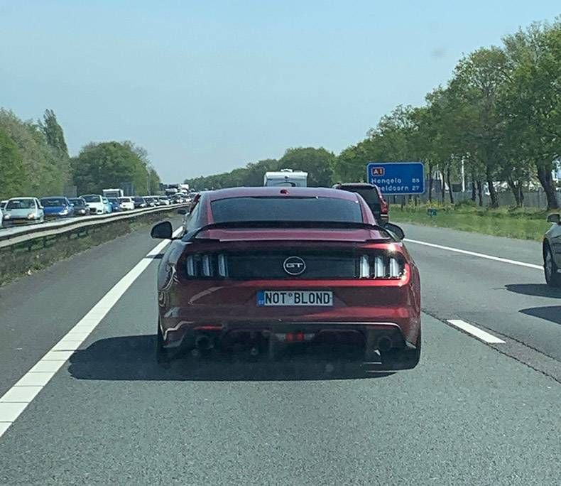 Gewoon een verzameling hilarische foto's #1117