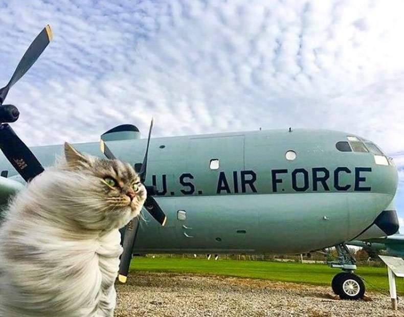 Gewoon een verzameling hilarische foto's #1071